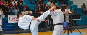 ¿Para qué sirve el Karate?
