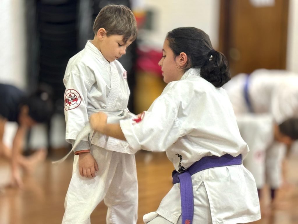 Clases de karate zona centro
